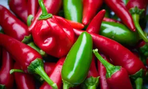 Stos czerwonych i zielonych papryczek chili, w tym jedna okrągła czerwona papryczka.