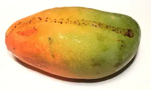 Dojrzałe mango ma pomarańczowo-zieloną skórkę z drobnymi, ciemnymi plamkami. Jak sprawdzić czy mango jest dojrzałe? Delikatnie naciśnij owoc.