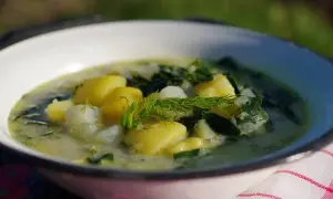 Aksamitna zupa z liści kalarepy z ziemniakami i koperkiem, podana w białej misce na tle zieleni.