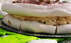 Puszysty tort bezowy dacquoise z kremem kawowym i orzechami, posypany kakao.