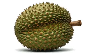 Kolczasty owoc durian, znany po angielsku jako durian, z charakterystycznym ogonkiem.