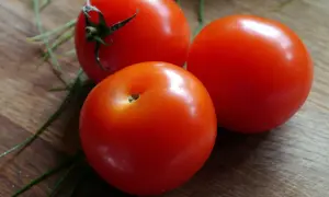 Oto jak wygląda pomidor krakowski: trzy soczyste, czerwone pomidory leżą na drewnianej desce, otoczone zielonymi szczypiorkami.