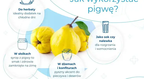 Trzy żółte owoce pigwy na tle grafiki z ikonami i tekstem o jej zastosowaniach.