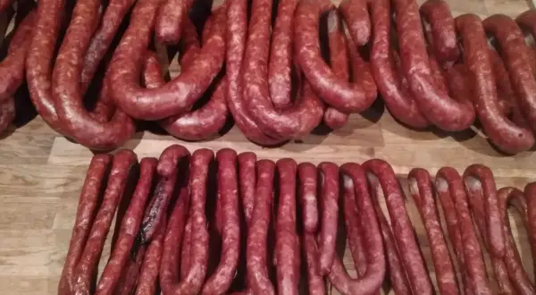 Gotowe do wędzenia, pęta kiełbasy, które wyglądają jakby właśnie miały trafić na stół, idealne do nauki jak zrobić kiełbasę.