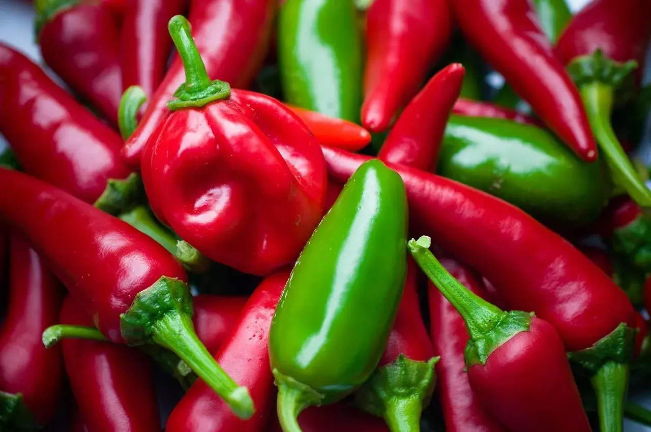Stos czerwonych i zielonych papryczek chili, w tym jedna okrągła czerwona papryczka.