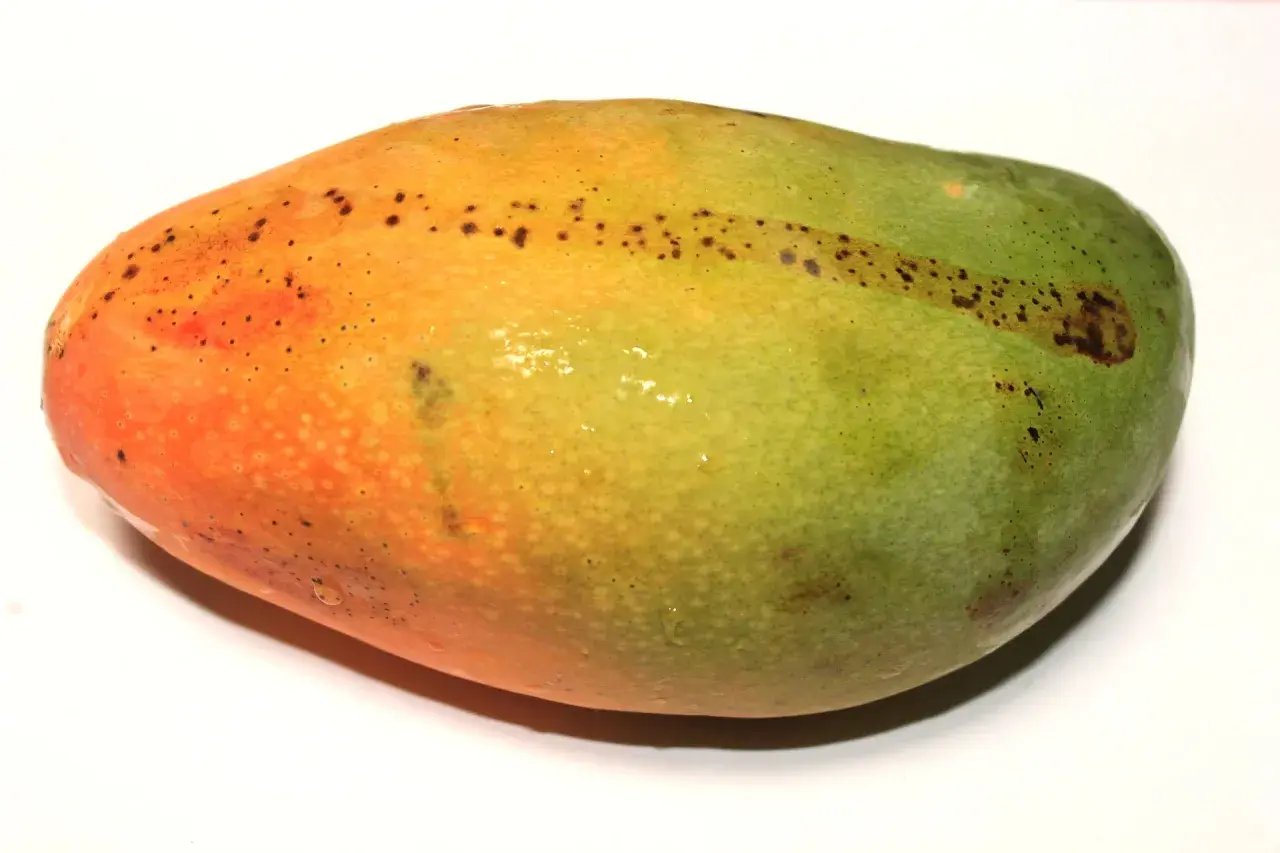 Dojrzałe mango ma pomarańczowo-zieloną skórkę z drobnymi, ciemnymi plamkami. Jak sprawdzić czy mango jest dojrzałe? Delikatnie naciśnij owoc.