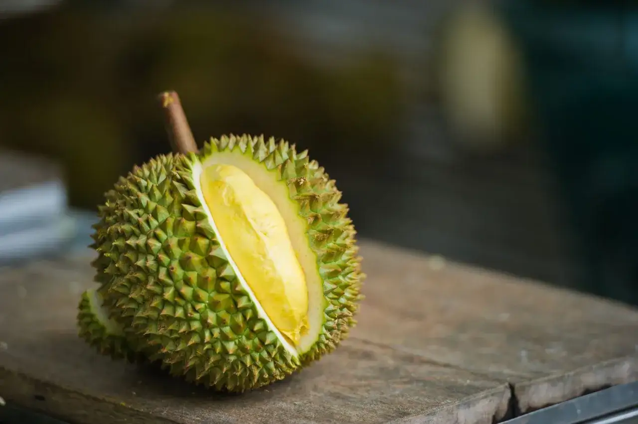 Otwarty durian, znany po angielsku jako 