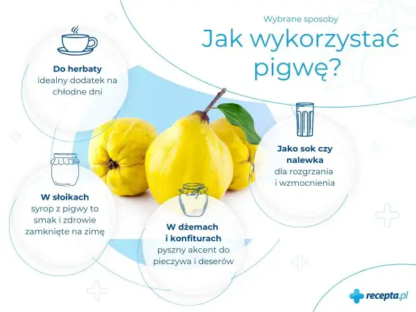 Trzy żółte owoce pigwy na tle grafiki z ikonami i tekstem o jej zastosowaniach.